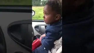 Monkey on the car