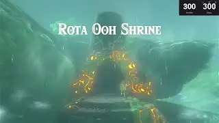Rota Ooh Shrine: Passing of the Gates Solved! 🏹🔄 (Zelda BOTW)