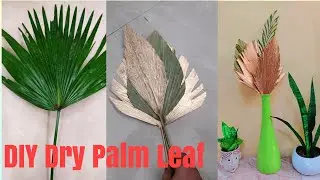 DIY || DRIED PALM LEAF || No cost Home Decor || Dry Leaf Craft || Palm🌴 Leaf🍃