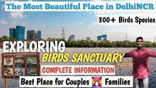 Exploring Okhla Bird Sanctuary Noida | Complete Information | (With English Subtitles) | @Ribinpx