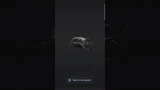puppies and friends tomas moralez - japanese rhinoceros beetle sound effect