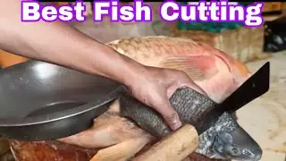FISH CUTTING SKILL  2025