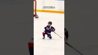 Mini 4 Nations🏒 #hockey #hockeyplayers #shorts