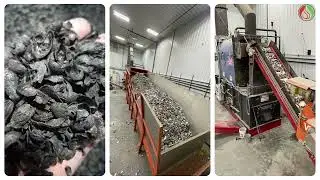 Biomass Energy