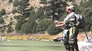 Fly Fishing the Chama River in New Mexico