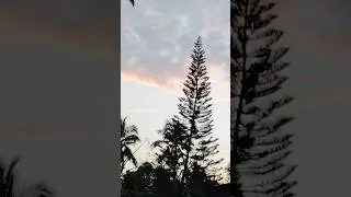 #sunset