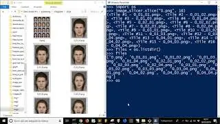 Split images and rename with Python