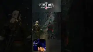 Witcher 3 😈🧪 I didn't kill the succubus, I lost the elixir, my Geralt isn't bad.