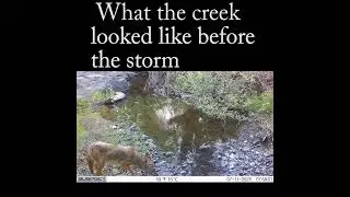 Why desert dry washes can be a hazard #wildlife #nature #flood