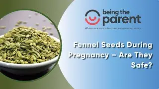 Got A Bump? Unlock The Power Of Fennel Seeds During Your Pregnancy