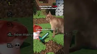 Ranking the Best Minecraft Cats 😸 | Part 4 #shorts