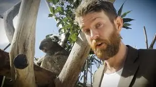 Shenhua: Don&rsquo;t bulldoze Liverpool Plains koalas! (FULL video)