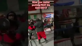 #boxing #mindovermiles #pushittothelimit #michaelangeletti day 8 !!!