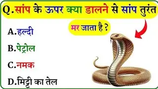 Gk🖍 question || 🔥आसान सवाल और महत्वपूर्ण #gk #gs #ssc #gd #bihardaroga #ssccgl #iasmotivation #live