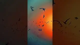 Madina Park Islamic video