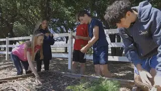 Explore Exciting Elective Courses at Creo Farm School.
