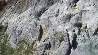 Crevicing Mineral Bar, California -- 13 Sep 2016