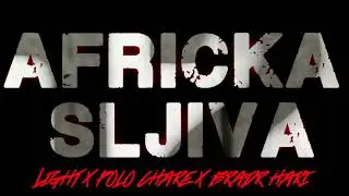 LIGHT x POLO CHARE x BRADR HARI - AFRICKA SLJIVA (prod.Light)
