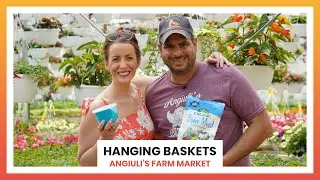 Hanging Baskets at Angiuli's - May 22, 2022