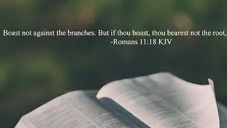 Warning ⚠️ do not boast against the natural branches 💯❤️📖⚔️