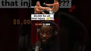 Terence Crawford bash the MMA Fighters for getting paid less and taking bigger risks #boxing #sports