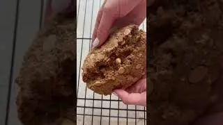 Giant Snickerdoodle Protein Cookie 🍪