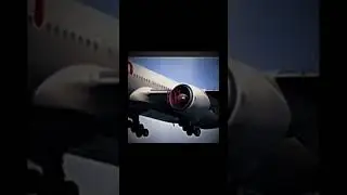 Flightless Birds - Asiana Airlines Flight 214 🛩️