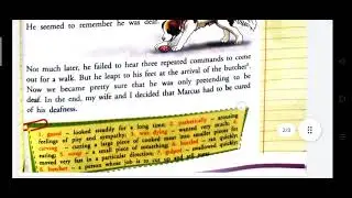 My dog Marcus | Chapter 3.1 | Class 8th | Hindi Explanations by Sadique