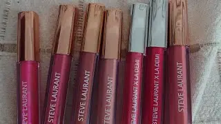 My thoughts on the Steve Laurant lip items from the discovered beauty box