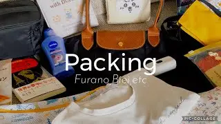真夏の1泊2日のパッキング🏖️What’s in my Bag｜富良野、美瑛vlog@necco_nya