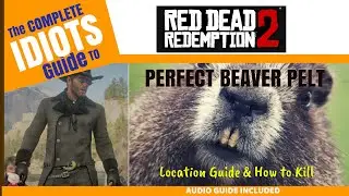 Идеальная шкура БОБРА &mdash; полный аудиогид &mdash; путеводитель по RDR2 для идиотов