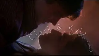 Clark & Kyla | Dandelions