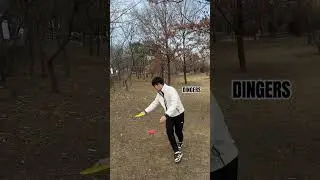 Dingles! #discgolf #treehit