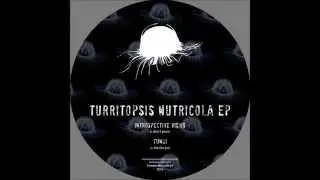(TOMEEN 04) b2. - Fungi - Fok The Put