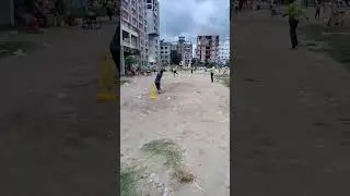 #cricket