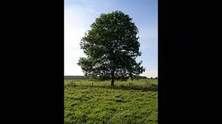 Outside AJR Demo (Open Verses)