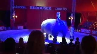 Národní Cirkus Originál Berousek program 2019 Vysoké Mýto