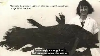 Coelacanth Characteristics & Connect-the-Dots