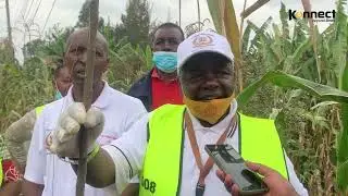 The community policing members of Roysambu subcounty organized a river cleaning exercise