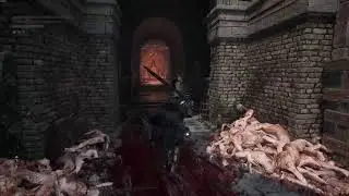 LORDS OF THE FALLEN 2.0 #12 | Knight Sanisho e Tancred  Master of Castigations/Reinhold the Immured!