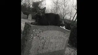 Du Mort - This Life (Goth/Post Punk track)