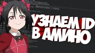Узнаём ID в Amino на Python | Как создать бота Амино.