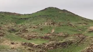 سجة ربيع جنوب مكة ١٤٤٤هـ