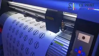 Printing & Cutting Vinyl for stickers With Eso Solvant & Teneth CCD EK PRINT