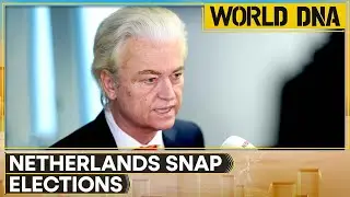 Netherlands: Geert Wilders a Frontrunner but May Fall Short of Majority | WORLD DNA