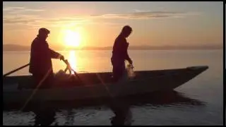 La regina del lago. A pesca di carpe sul Trasimeno