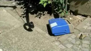 Freieliebe