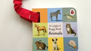 A Ladybird Buggy Book Animals