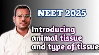 Introducing animal tissue and type of tissue  class 11th
