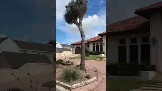 Terrell Hills: A Quiet, Elegant Neighborhood in San Antonio 🌳🏠